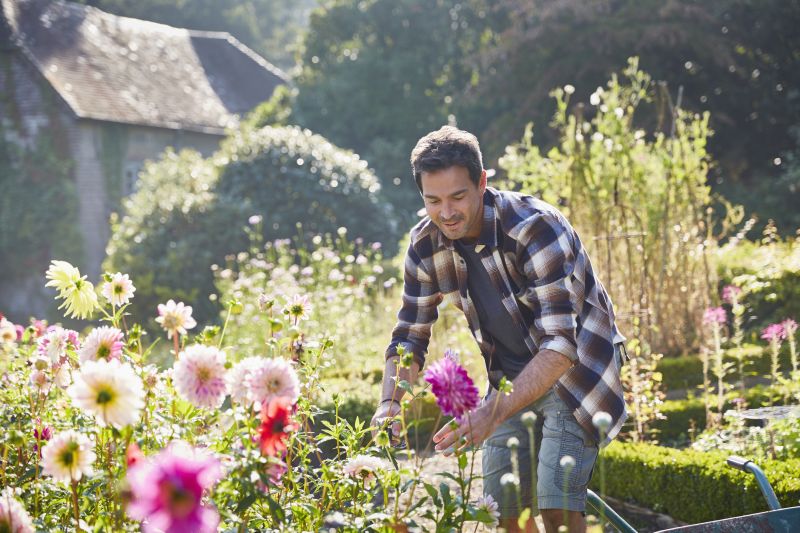 Daffodil Planting