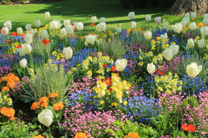 Bulb Selection and Supply